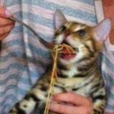 Ian Jeffery - @ianjeffery2 - Twitter