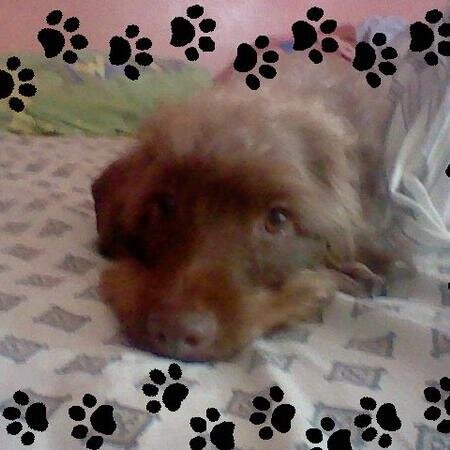 maryurie123's profile picture. 