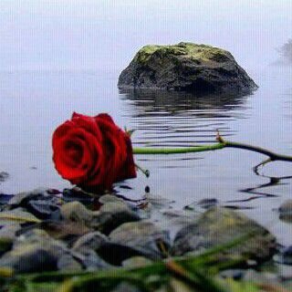 300_eissa's profile picture. 