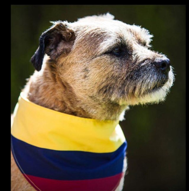 markboultwood's profile picture. Trailblazing explorer - South America. Football - Aston Villa.