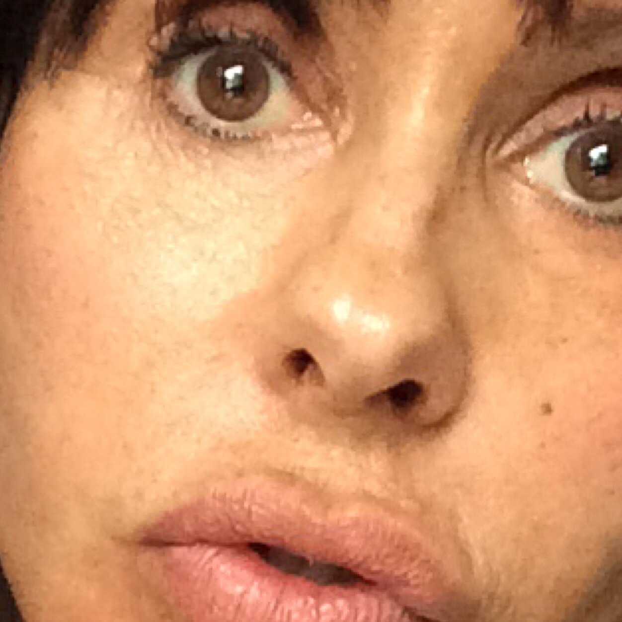 Manuela Moura Guedes Guedesmourac Twitter