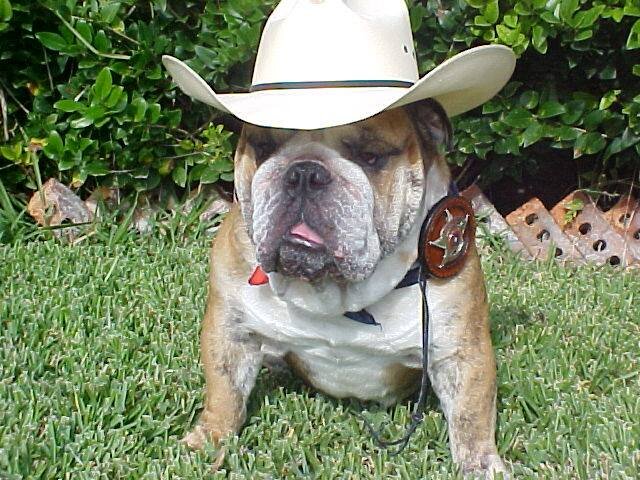 ForceContinuum's profile picture. Force Continuum is a non-profit organization for law enforcement agencies in rural locations across the country. Check in on us as we take our dream forward!