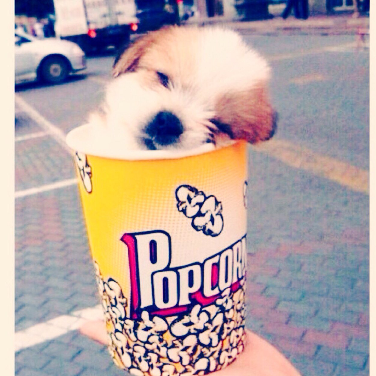 sarahalmeshal's profile picture. الحمدالله♥️