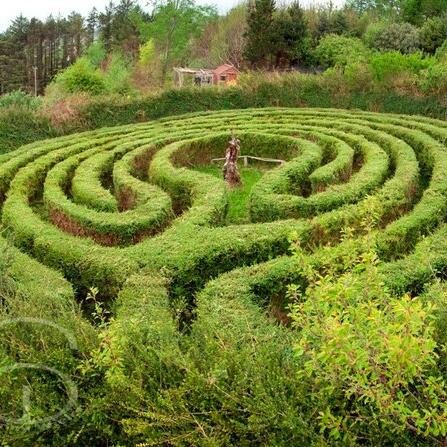 #Regenerative #Communities, #ecovillages incubator.The Neo Tribes! Our strength is Regenerative design, economic and culture innovation. Community!