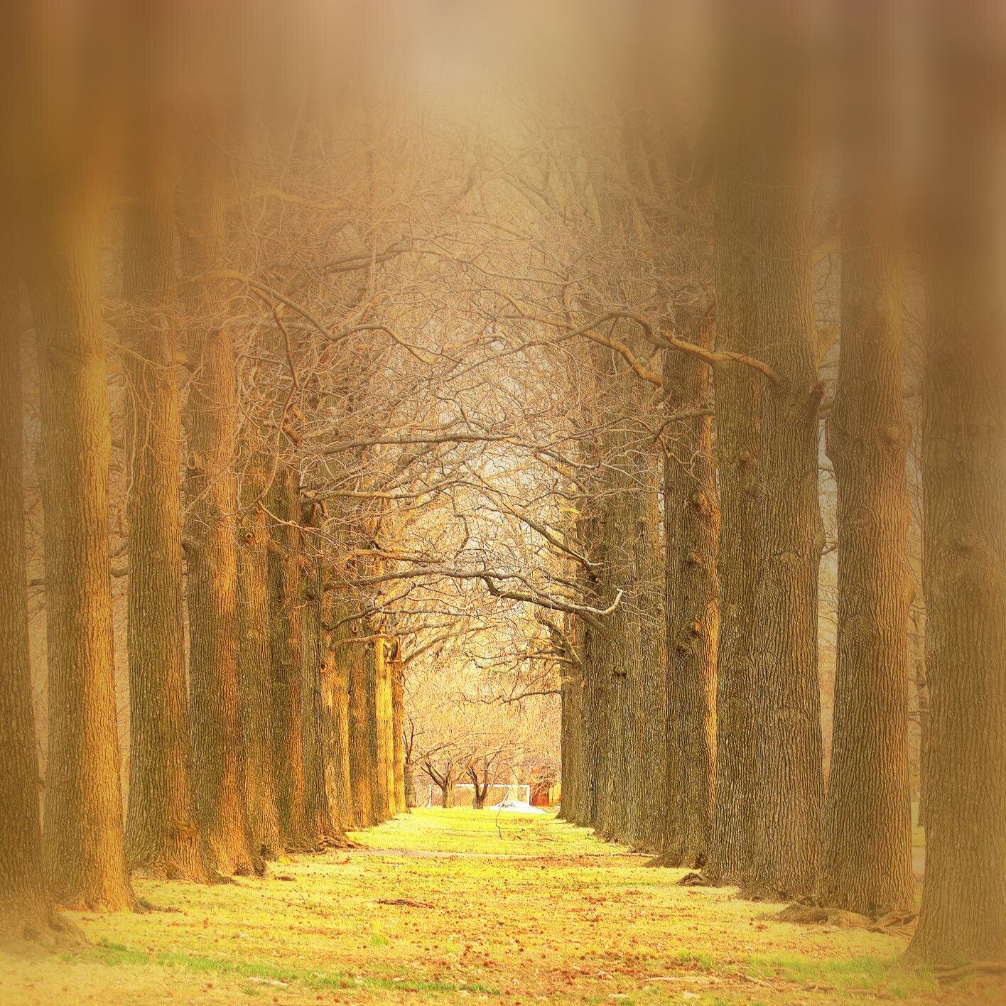 Bitten by the photography bug, but I'm not seeking treatment. Dedicated to my interest in photography | Shop at 10% off = https://t.co/hDj1vJ8hXw