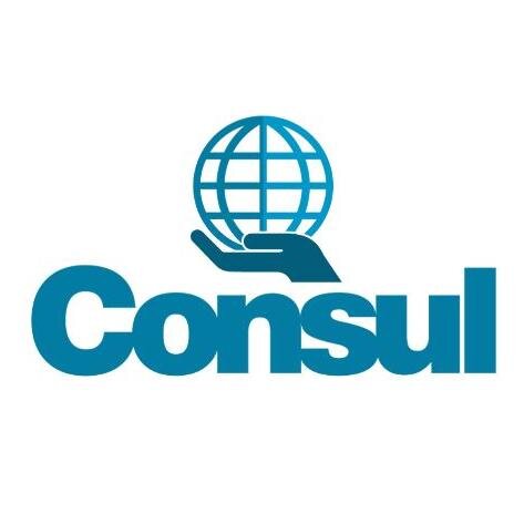 A Consul foi fundada em 2007 e fornece aos seus clientes toda a mão de obra intermediária, tais como porteiro, motorista, auxiliar de limpeza, etc.