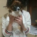 takaya (@0t8k3y2) Twitter