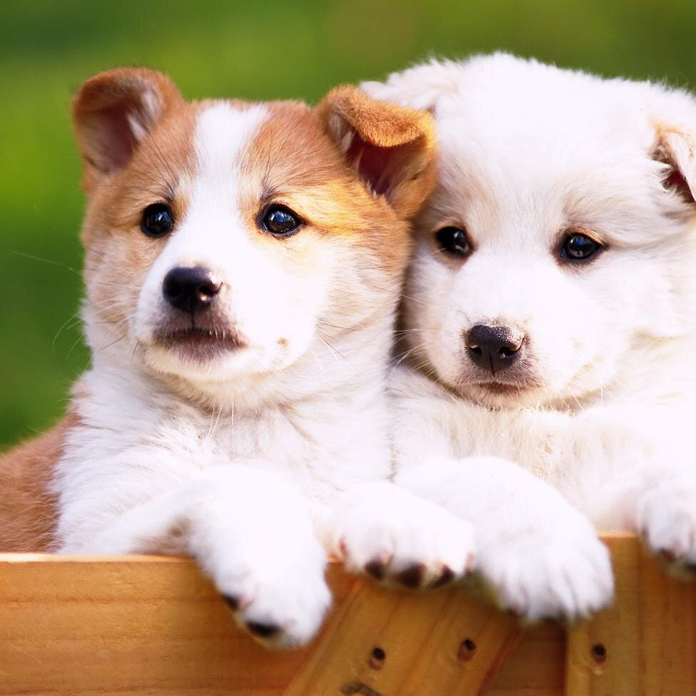 LunaMachuca's profile picture. 