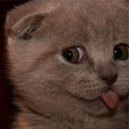Bored of everything.. looking for something that may interest me. I follow back.