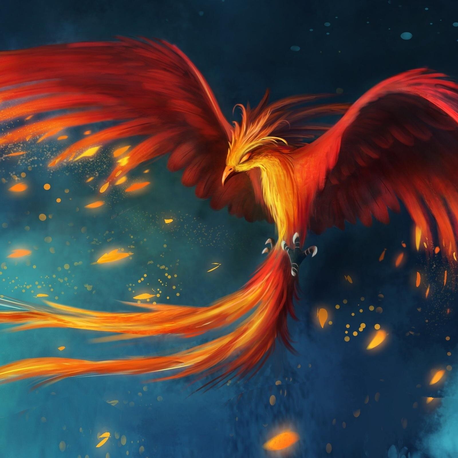 #Kazakyst #Potterhead #CharmedFan