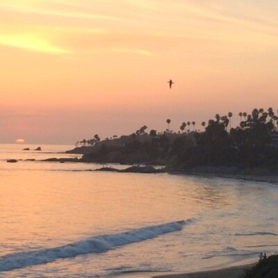 javajunkie227's profile picture. 