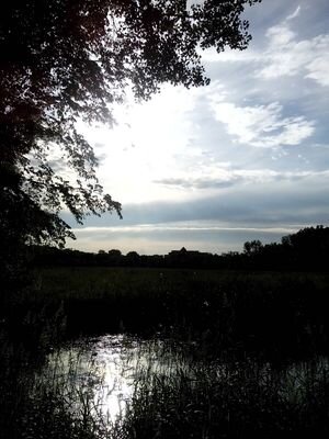 k_drama_addict's profile picture. The best days are the first to flee-My Antonia