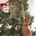 Pat Jeffries (@pjeffries12) Twitter profile photo