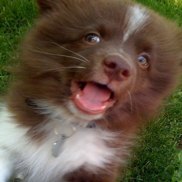 Smoochapoochxo's profile picture. 