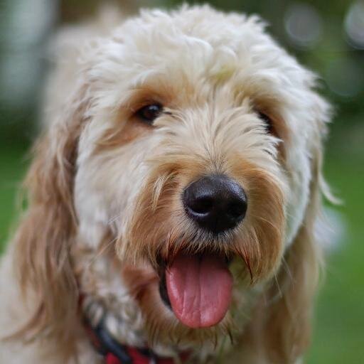 lasernap's profile picture. i like basic science more than most people.