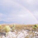 daniel karim ramirez - @14Desierto - Twitter