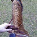 Sian Hudson - @Sian_Hudson - Twitter