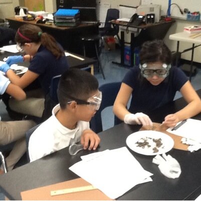 TSPScience's profile picture. 