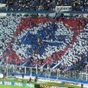 ah_ale's profile picture. 