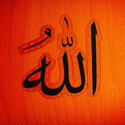 HlmMtn's profile picture. 