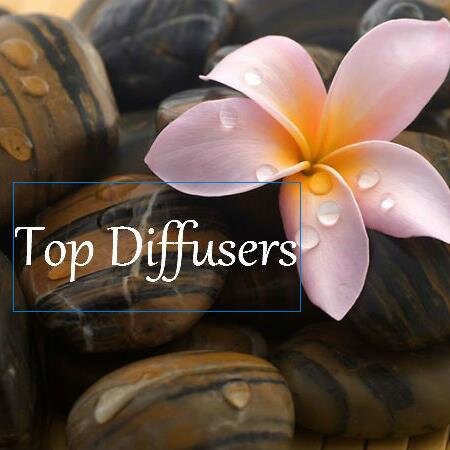 TopDiffusers's profile picture. 