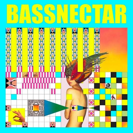 24. Bassnectar fanatic. #BNF