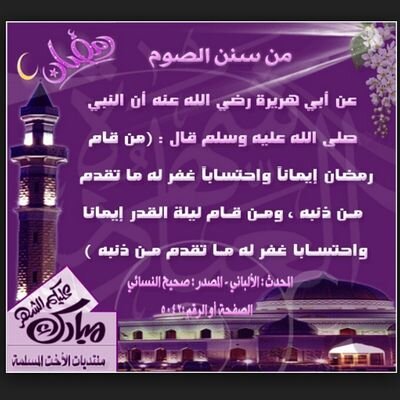 /انا اتابع ناس قربين لي/عذرآ انا م اتابع ولا احد لافتاة ولا شاب /ب ارتوت لكم وافضلكم /وبس