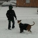 trudy foster - @FosterTrudy - Twitter