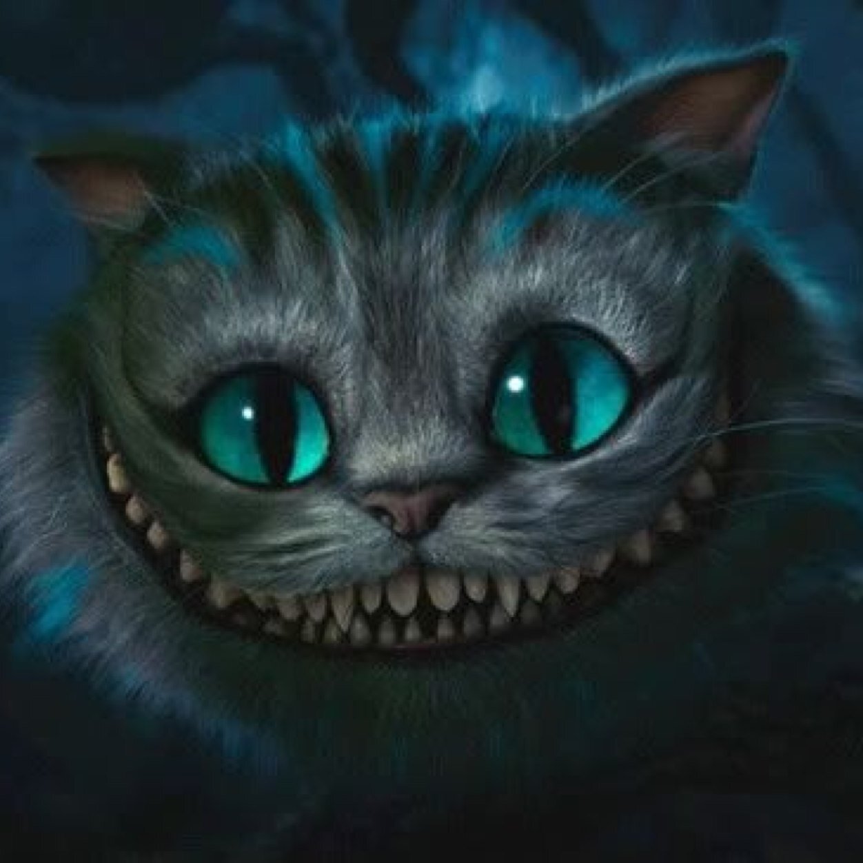 Cheshire Cat (@TheCatWhoSmiles) | Twitter