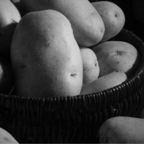 When life gives you lemons make orange juice and leave the world wondering how you did it.....