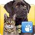 Bring Pets Home is a non-profit animal charity committed to pet care for animals in need.