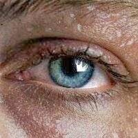 MaxVoltFiles's profile picture. Here at MVE in Orlando, Florida we have a passion for health & wealth technology... Along with self-help related subjects !!!