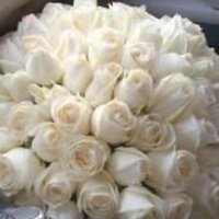 فاطمة الشقاء ✨ (@f_alshega) Twitter profile photo
