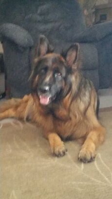 NewStarAward's profile picture. 