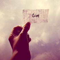 lalocadelalife's profile picture. Viviendo la vida. ¿Para que más? Filosofía, Historia y Arte siempre de la mano. El saber no ocupa lugar. lalocadelalife@outlook.com