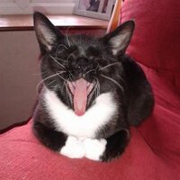 Sally Connolly (@squallyc) 's Twitter Profile Photo