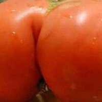 Magic32 (@magic____32) 's Twitter Profile