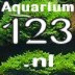 Aquarium123nl's profile picture. Tips, Weetjes en Aanbiedingen op het gebied van Aquaria. Blijf op de hoogte omtrent Aquarium123.nl - de Webwinkel voor Aquariumplanten en Aquariumbenodigdheden
