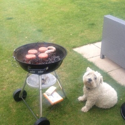 carlyjohanna's profile picture. 