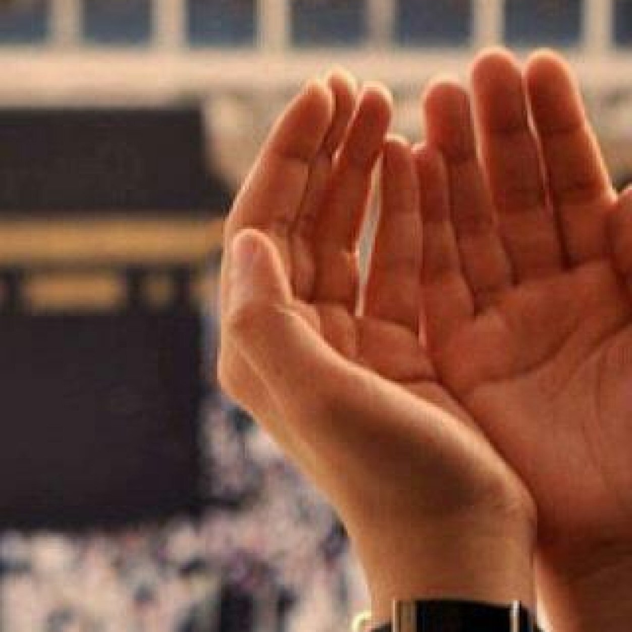 gaze55855's profile picture. 