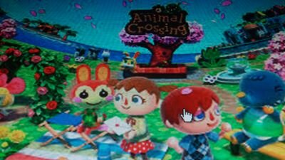 lacrossinguera's profile picture. código amigo 1134-8642-2102