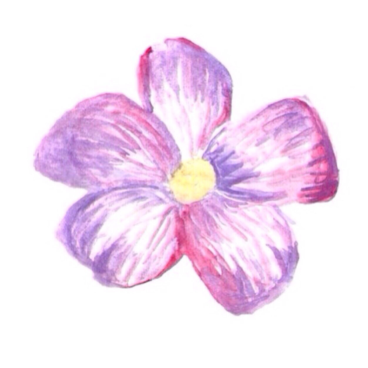 ❤️ اللهم ارزق فاطمه مراد الفردوس الاعلى ❤️