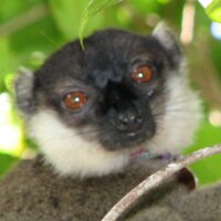 Steig Johnson (@steigj) 's Twitter Profile