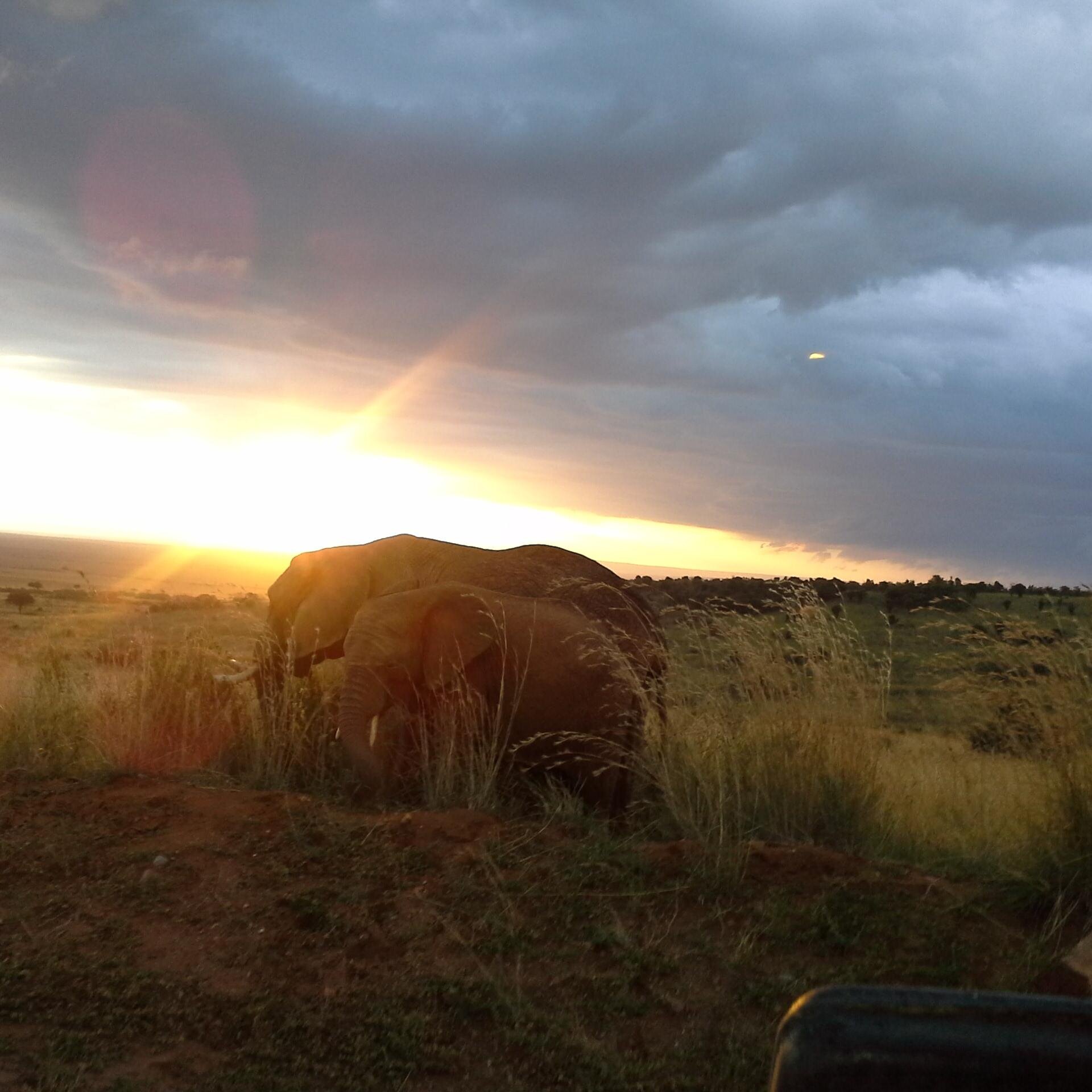 Hummingbirdtravel Profile