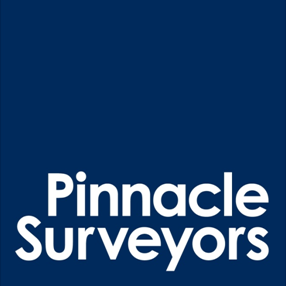 PinnacleSurvey Profile Picture