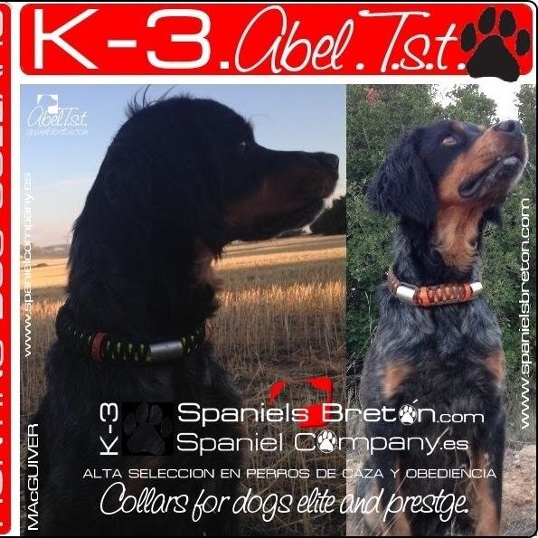 Collars fos dog elite and prestige create custom tailored                         
 COLLARES PARA PERROS DE ÉLITE Y PRESTIGIO CREADOS A MEDIDA Y PERSONALIZADO