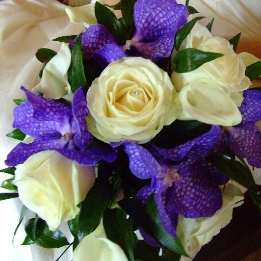 wdbfe's profile picture. We are a must for any bride out there. Fresh flowers, venue dressing and accessory hire as well as our fantastic cars