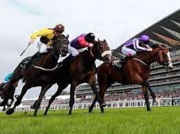 Ireland newest Top Tipster.. I won't put up a horse for the sake of it, I am in the business of winning money not loosing it, give me a follow to be a winner !