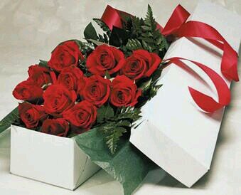 ‏أستغفرالله ♥