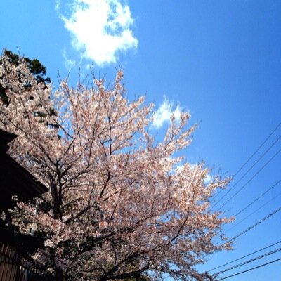 寂しい時見る